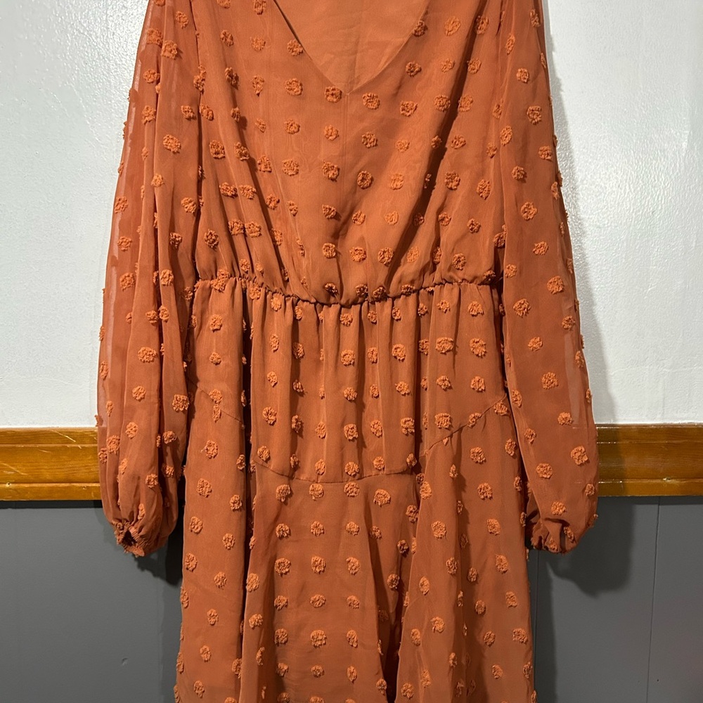 Women's Rust Orange Textured Long Sleeve Dress